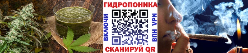 Canna-Cookies конопля  купить наркотик  Тарко-Сале 