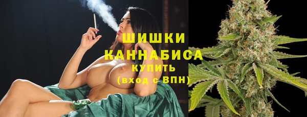 индика Приозерск