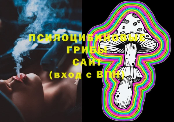 индика Приозерск
