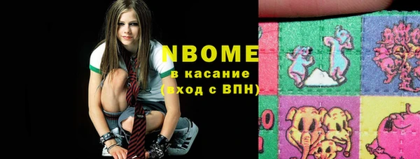 индика Приозерск