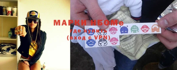 индика Приозерск