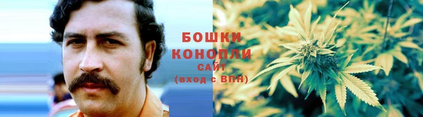 индика Приозерск