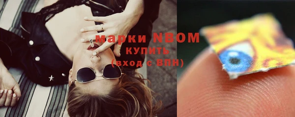 индика Приозерск