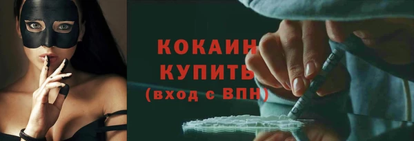 индика Приозерск