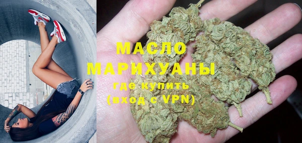 индика Приозерск