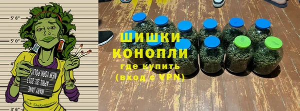 индика Приозерск