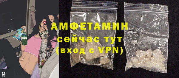 индика Приозерск