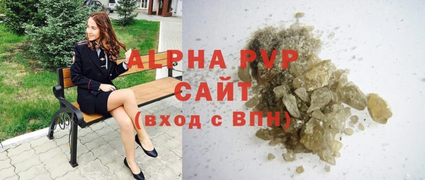 индика Приозерск