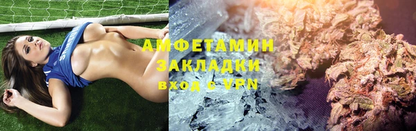 индика Приозерск