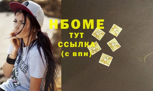 индика Приозерск