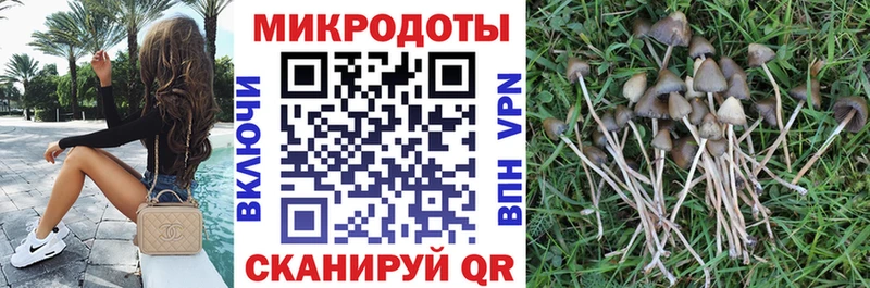 даркнет как зайти цена наркотик Тарко-Сале Псилоцибиновые грибы Psilocybe